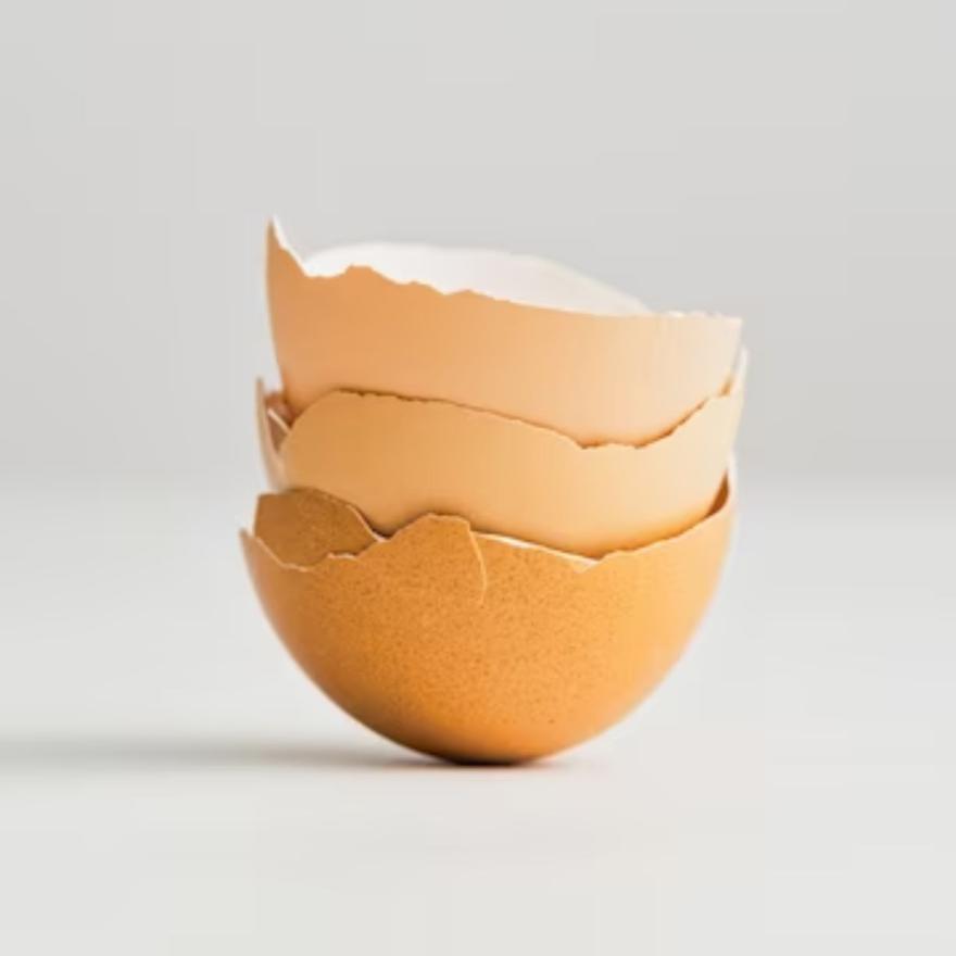Manfaat Kalsium Cangkang Telur Bagi Tanaman